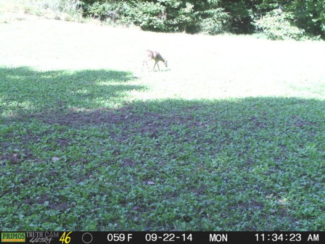 photo11.jpg