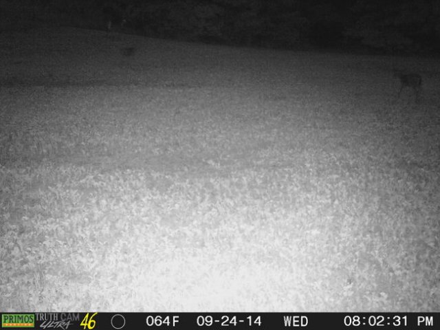 photo34.jpg