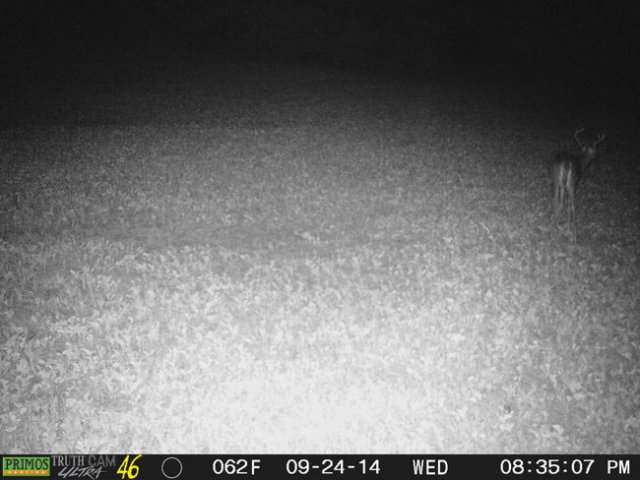 photo38.jpg