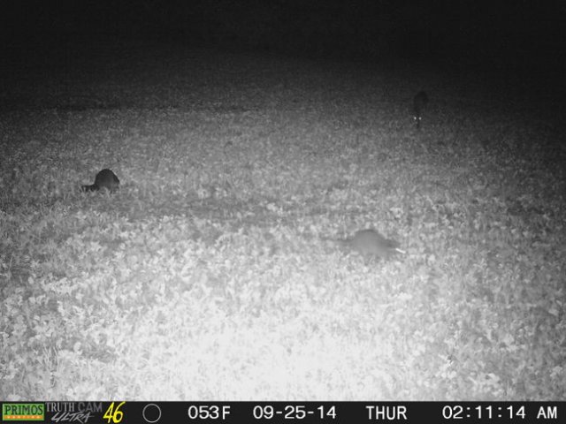 photo41.jpg