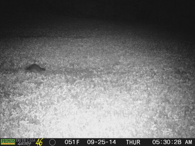 photo48.jpg