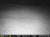 photo50_small.jpg