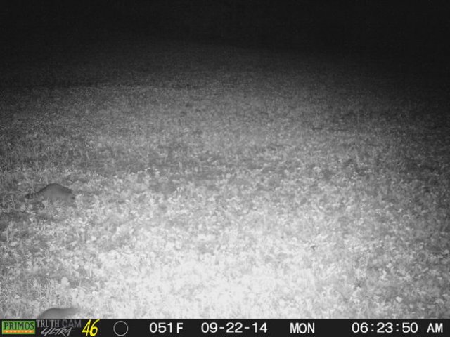 photo9.jpg