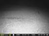 photo100_small.jpg