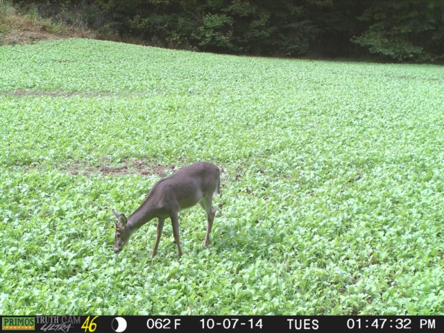 photo126.jpg