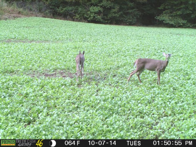 photo134.jpg