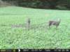 photo134_small.jpg