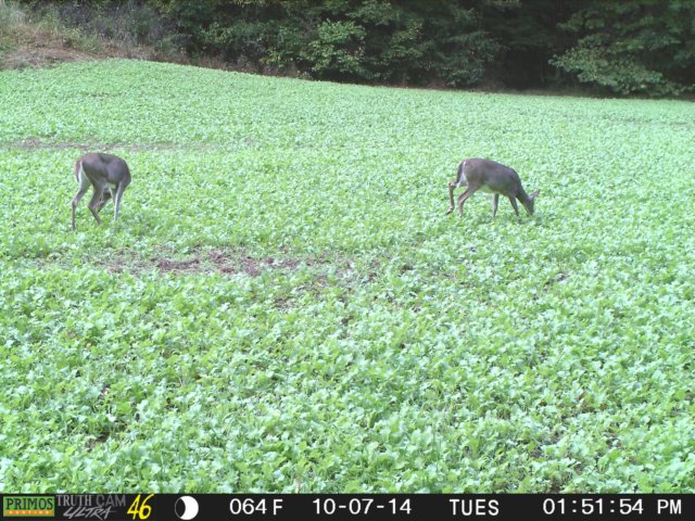 photo136.jpg