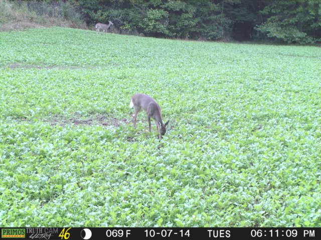 photo137.jpg