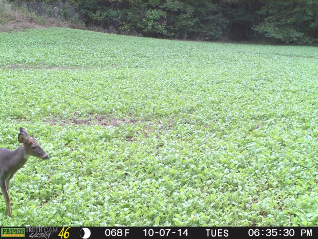 photo153.jpg