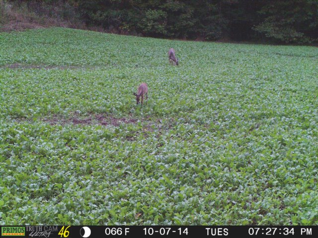 photo156.jpg
