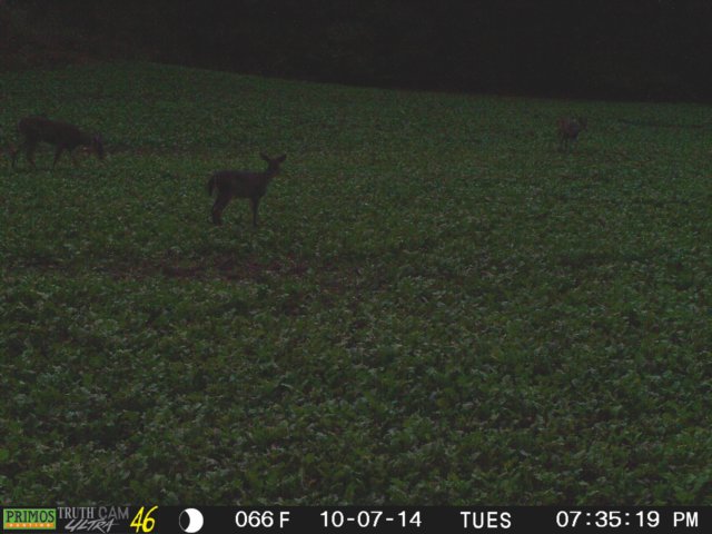 photo160.jpg