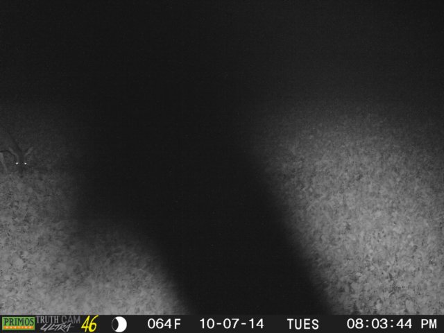 photo174.jpg