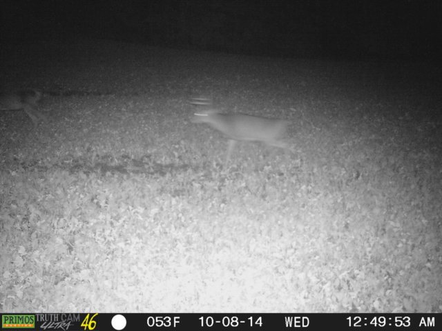 photo206.jpg