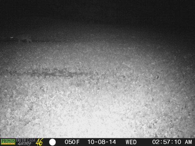 photo210.jpg