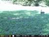 photo216_small.jpg
