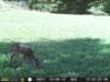photo218_small.jpg