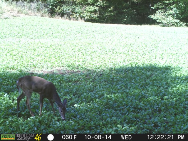 photo219.jpg