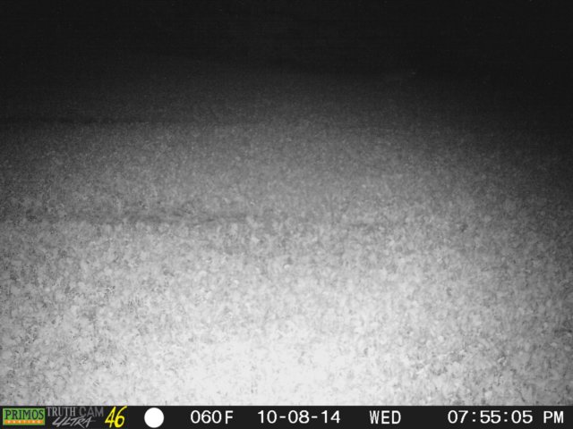 photo264.jpg