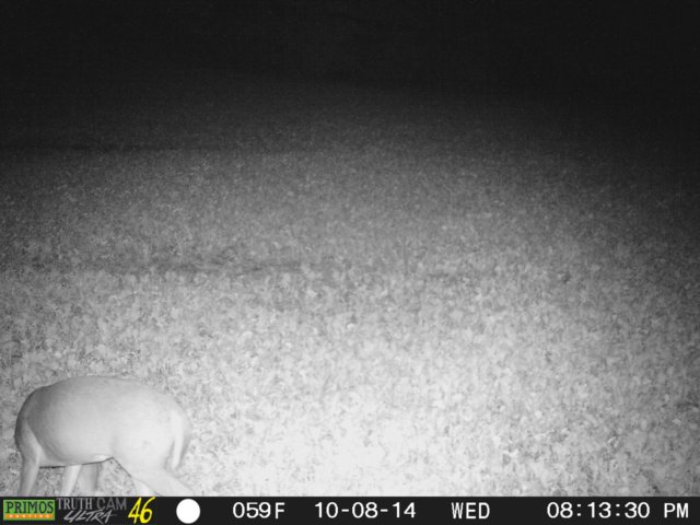 photo270.jpg