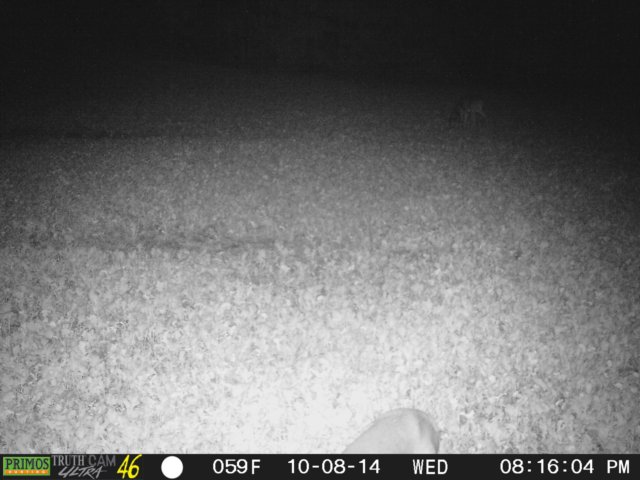 photo273.jpg