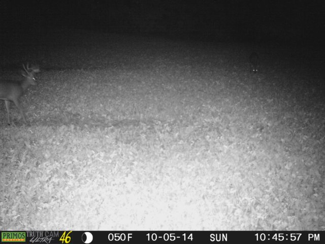 photo35.jpg