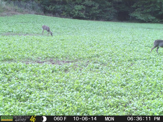 photo65.jpg
