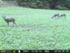 photo70_small.jpg