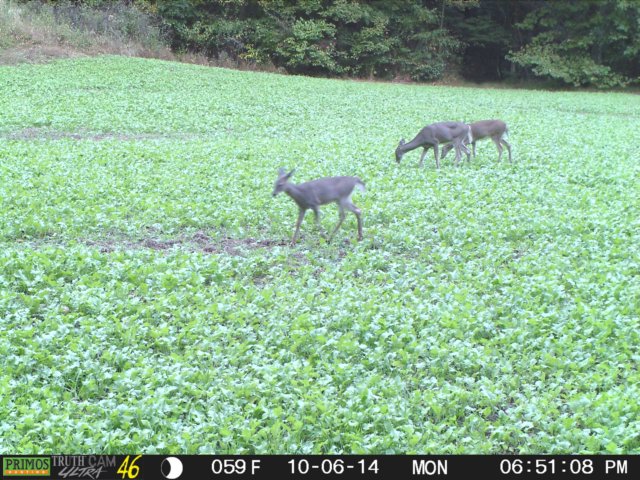 photo72.jpg