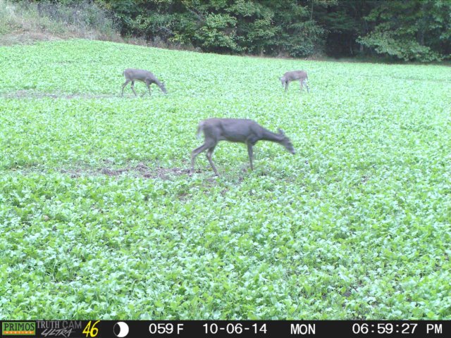photo74.jpg