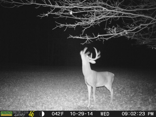 photo7.jpg