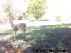 sunp0004_small.jpg