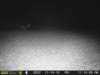 photo10_small.jpg