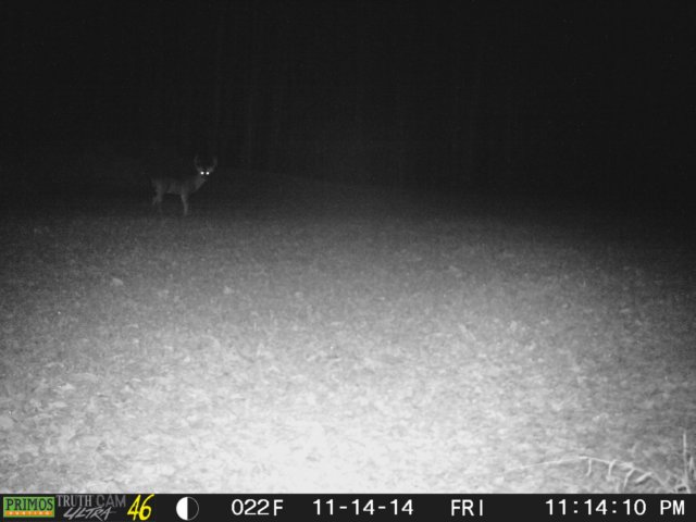 photo11.jpg