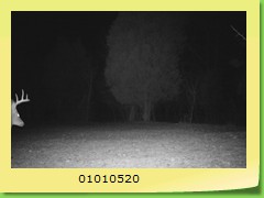 01010520