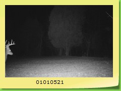 01010521