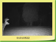 01010522