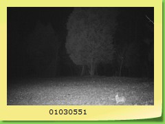 01030551