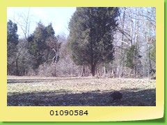 01090584