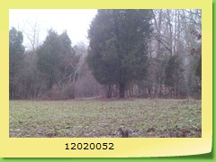 12020052