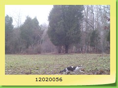 12020056