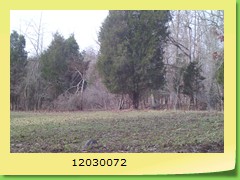 12030072