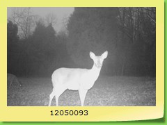 12050093