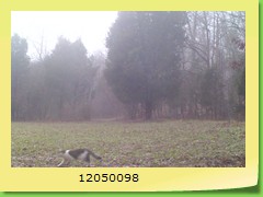 12050098