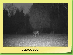 12060108