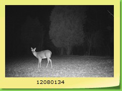12080134