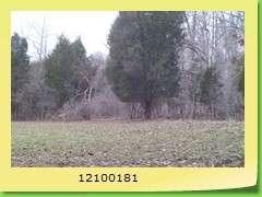 12100181