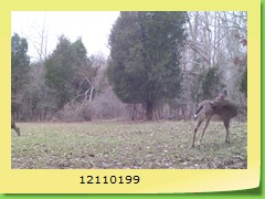 12110199