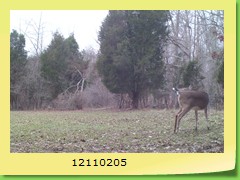 12110205