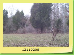 12110208